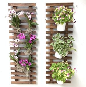 ShopLaLa Wall Planter-2 Pack Wooden Hanging Planters for Indoor Plants,Wall Mounted Plant Stand Ladder Outdoor Vertical Garden Balcony Unique Live Orchid Planter Large Dark Brown Wall Decorations