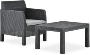 2 Piece Patio Lounge Set, Outdoor Furniture Set Amacas Para Patios Patio Conversation Sets Patio Furniture Set Suitable for Small Spaces Balcony Apartments Backyard with Cushion PP Rattan Anthracite