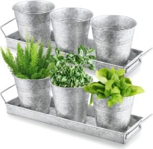 2 Sets Herb Garden Planter Pot Set with Tray Metal Windowsill Plant Pot with Drainage Farmhouse Decorative Live Herb Garden Kit for Home Kitchen Indoor Outdoor Apartment Balcony Window(Silver)