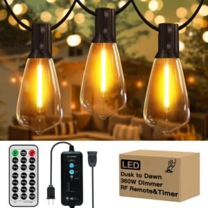 28FT 14 ST38 LED Outdoor String Lights Waterproof with Dusk to Dawn,Dimmable Patio Lights for Outside with Wireless Remote, Shatterproof Bulbs(1 Spare) Hanging Lights with Timer for Porch