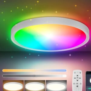 LED Ceiling Light - 30W Dimmable Bluetooth Ceiling Lamp with Remote Control and App 3000k/4000k/6000k For Lighting Living Room Bedroom Kitchen Corridor Balcony Bathroom Dining Room [Energy Class F]