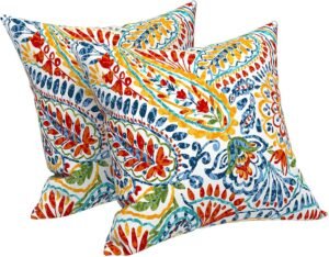 LVTXIII Outdoor Throw Pillow Covers 18 x 18 Inch, Covers ONLY Modern Paisley Pattern Decorative Square Toss Pillow Case Pack of 2 for Home Patio Garden Sofa Bed Furniture, Paisley Multi