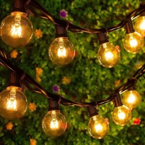 Outdoor String Lights 50 Feet G40 Globe Patio Lights with 25 Edison Glass Bulbs(5 Spare), Waterproof Connectable Hanging Light for Backyard Porch Balcony Party Decor, E12 Socket Base, Black