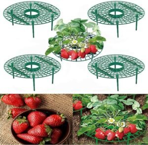 Strawberry Supports Stand Balcony Planting Rack with 4 Sturdy Legs Keeping Fruit Elevated to Avoid Ground Rot and Dirt in The Rainy Days Lightweight Gardening Stand Tool 5 pcs