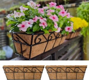 Wall Hanging Planter for Outdoor Plants (2 Pack) 16” Wall Hanging Baskets with Coco Liner for Plant Holder Black Wire Flower Box Porch Railing Fence Box Window