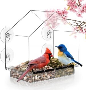 Window Bird Feeder with Strong Suction Cups, Clear Window Bird Feeders for Outside - Transparent Bird House, Balcony Glass Mount, Acrylic Cat, Kids & Elderly Viewing Clear Bird Feeder for Window Perch