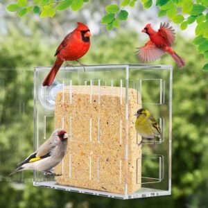 Window Suet Bird Feeder, Hanging Suet Feeder for Outdoor,Nature Anywhere Transparent Acrylic Window Bird Feeder,Clear Bird Feeders for Window Viewing 1 Pack