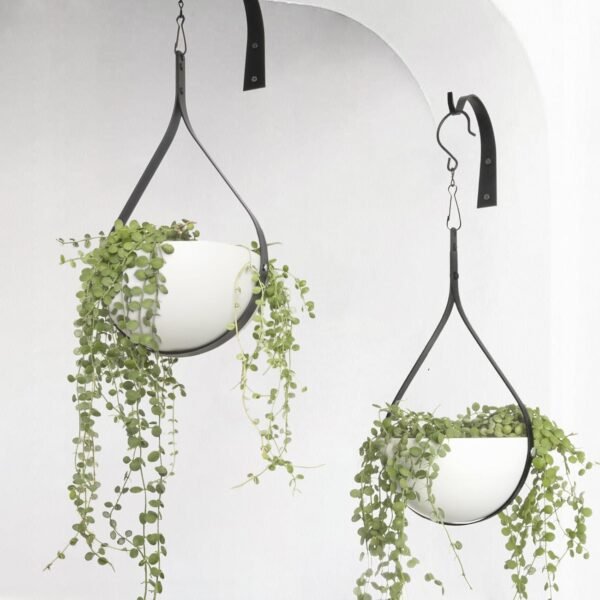 2 Pack Waterdrop Shaped Modern Hanging Planter, Metal plant hanger for Indoor and Outdoor plants, Black Hanging Plant Holder for Wall and Ceiling Decor.(No Plants or Drainage Holes)