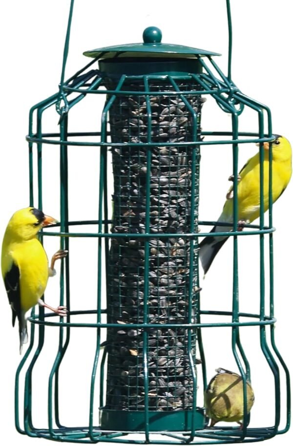 Caged Metal Bird Feeder Small Mesh Bird Feeder Holds 2.5 Cups of Sunflower Seeds for Birds