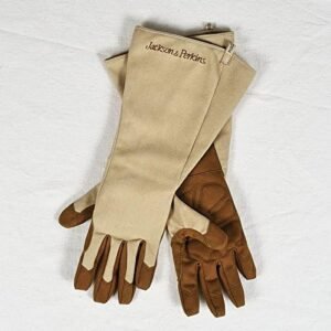 Jackson & Perkins Rose Gloves