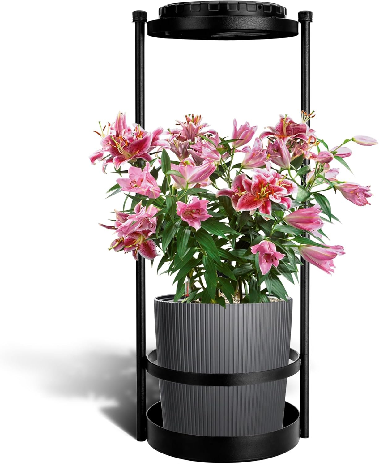 Solar Lights Outdoor Plant Stand for Garden, Metal Hanging Plant Solar Lights Outdoor Plant Stand for Garden, Metal Hanging Plant Holder for Outdoor plants, Wall Mounted Planters Shelf, Flower Rack for Yard, Wall Decoration for Patio, Porch, Fence, Balcony (1 pack)