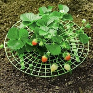 Strawberry Frame Stand Balcony Vegetable Rack Plant Climbing Support Net Gardening Tools Suitable for Balcony Planting and Greenhouse Planting