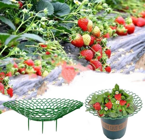 Strawberry Plant Supports, Strawberry Growing Frame, Gardening Tool Rack, Cultivation Rack, Balcony Potted Vegetable Tray Rack, Keep Strawberry Clean