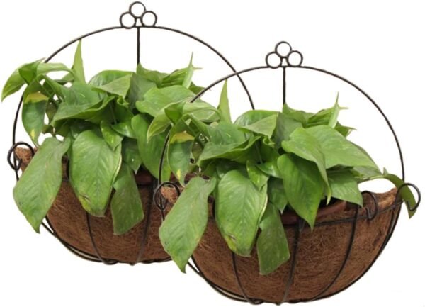 Tosnail 2 Pack Metal Wall Hanging Planter Basket with Coco Liner - Great for Indoor or Outdoor Plants