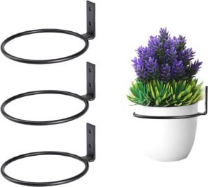 TreeLen Flower Plant Holder Ring Wall Mounted,4 Inch Plant Wall Hanger Rings,Metal Plant Holders Wall Planter Hook 3 Pack Black