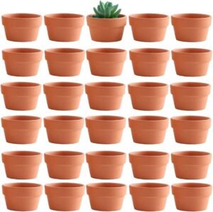 Yishang 2.7 Inch Shallow Terracotta pots,Small Hand Craft Nursery Plant Pot,Mini Clay Cactus/Succulent/herb Container with Drain Hole for Seeding - Set of 30